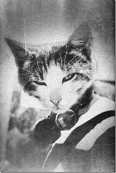 Кристина Баранникова Дмитриевна | Таганрог