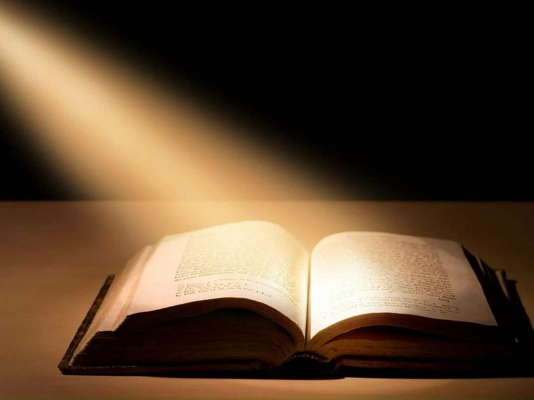 Петручио Шипулин | Краснодар