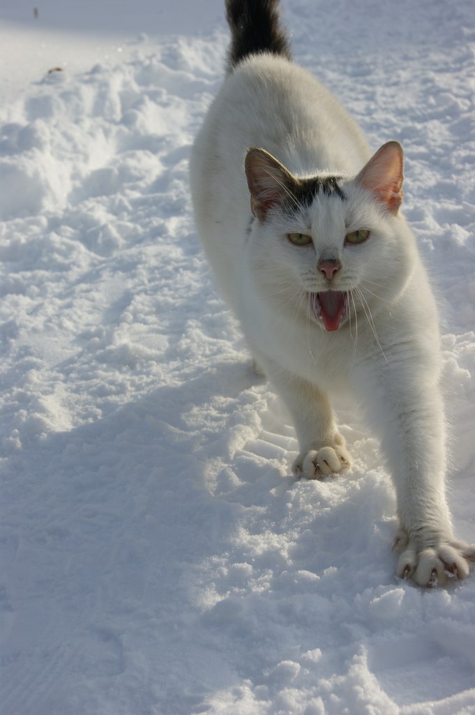 Екатерина Григорьева | Москва
