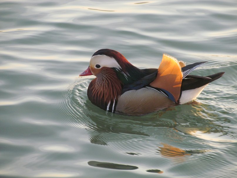 Irina Tretyak-Puzatkina | Уральск