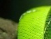 Аллочка Новикова фотография #40