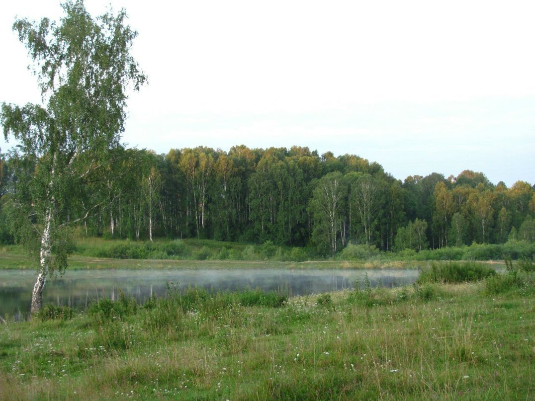 Mihail Nefedov | Новосибирск