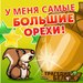 Руслан Гребенников фотография #9
