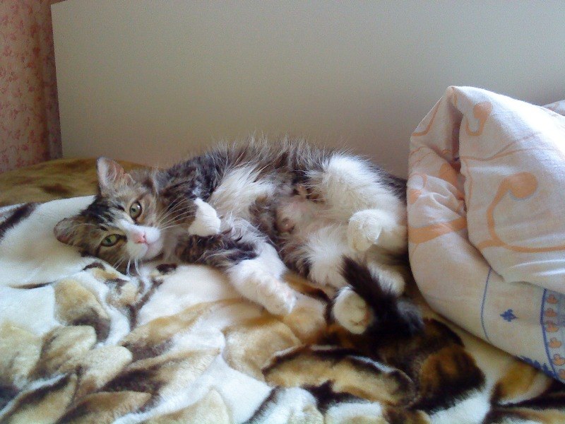 Анастасия Валеева | Нижний Новгород