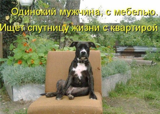 №102, Людмила Романова, Петрозаводск №102, Людмила Романова, Петрозаводск