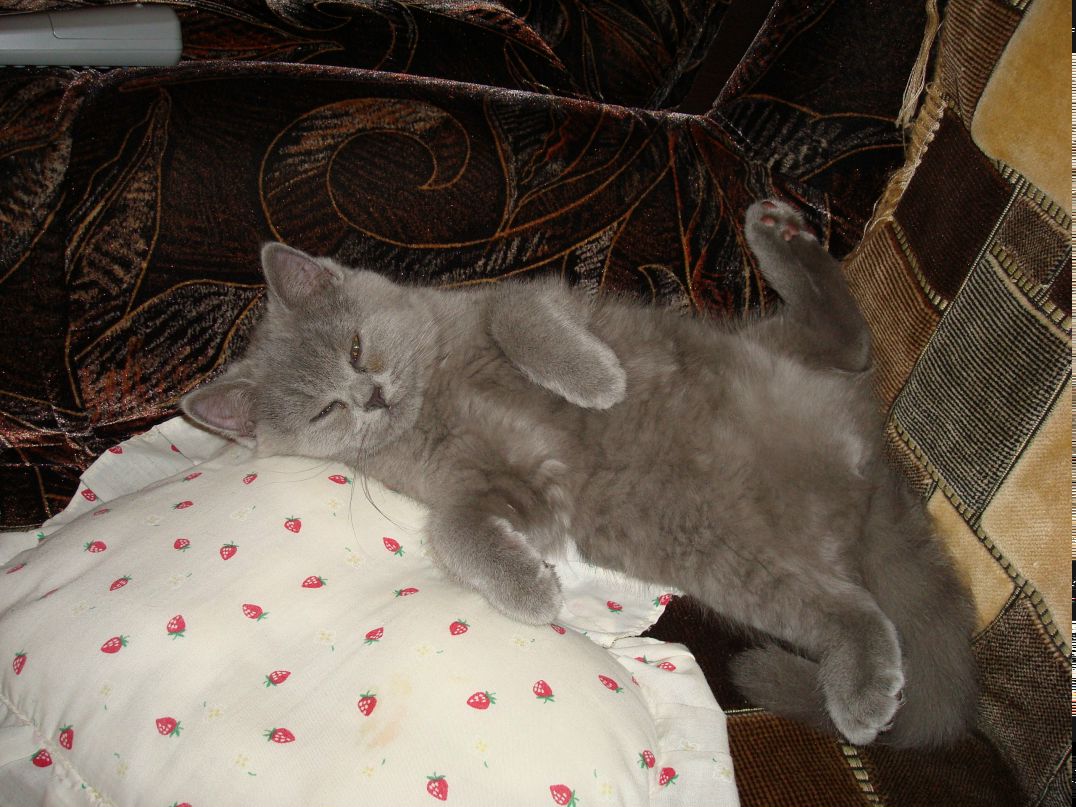 Ира Кулинич | Чернигов