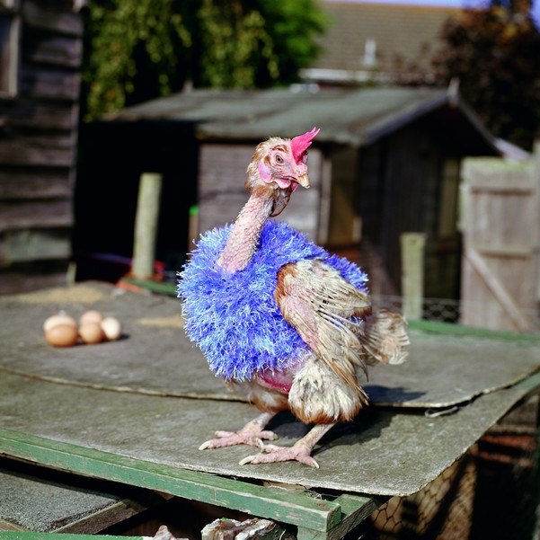 №10, Roman Chekin, 47 лет, Санкт-Петербург №10, Roman Chekin, 47 лет, Санкт-Петербург