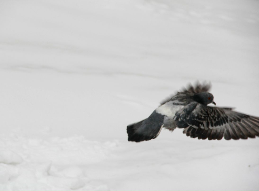 Катерина Анохина | Волжский