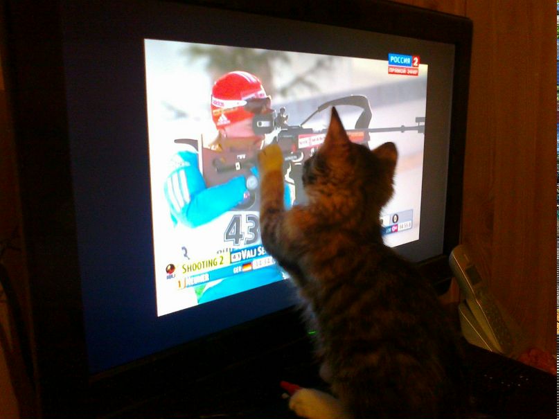 Павел Гусев Сергеевич | Коломна