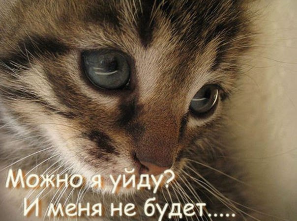 Александр Семенков ٩(̾●̮̮̃̾•̃̾)۶ | Москва