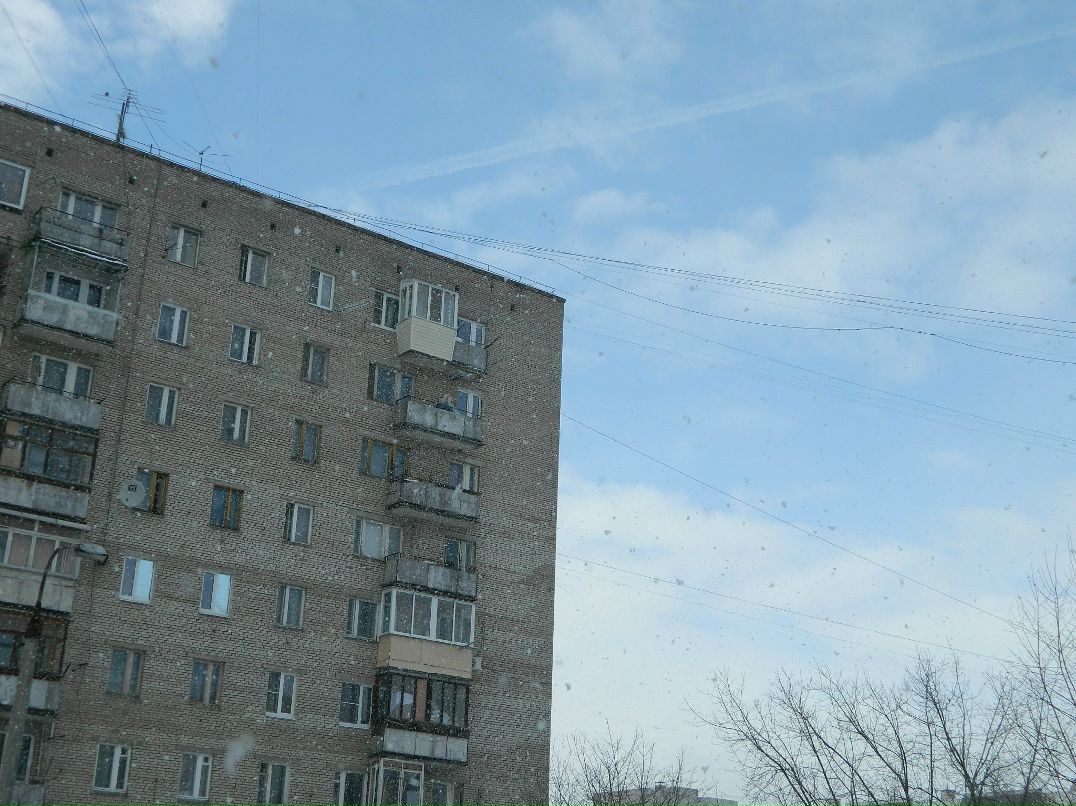 Алиска Додина | 