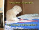 №35 Инна Новикова 02.08.1990: профиль, фото, статус - ВКонтакте