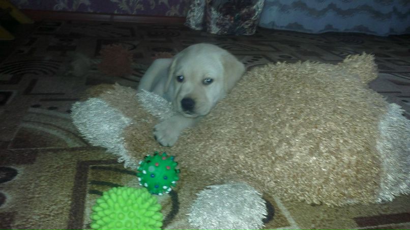 Юлия Язовских | Тихвин