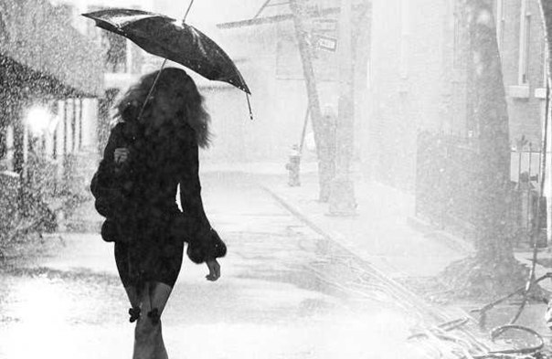 Марина Мотренко | Винница