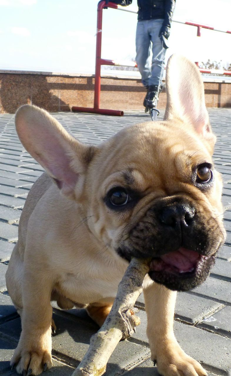 Анастасия Абашева | Волгоград