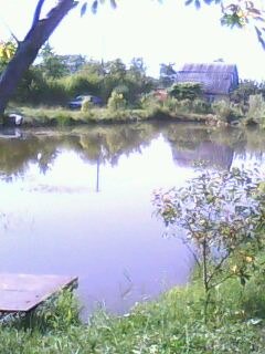 Александр Матюшев | Калининград