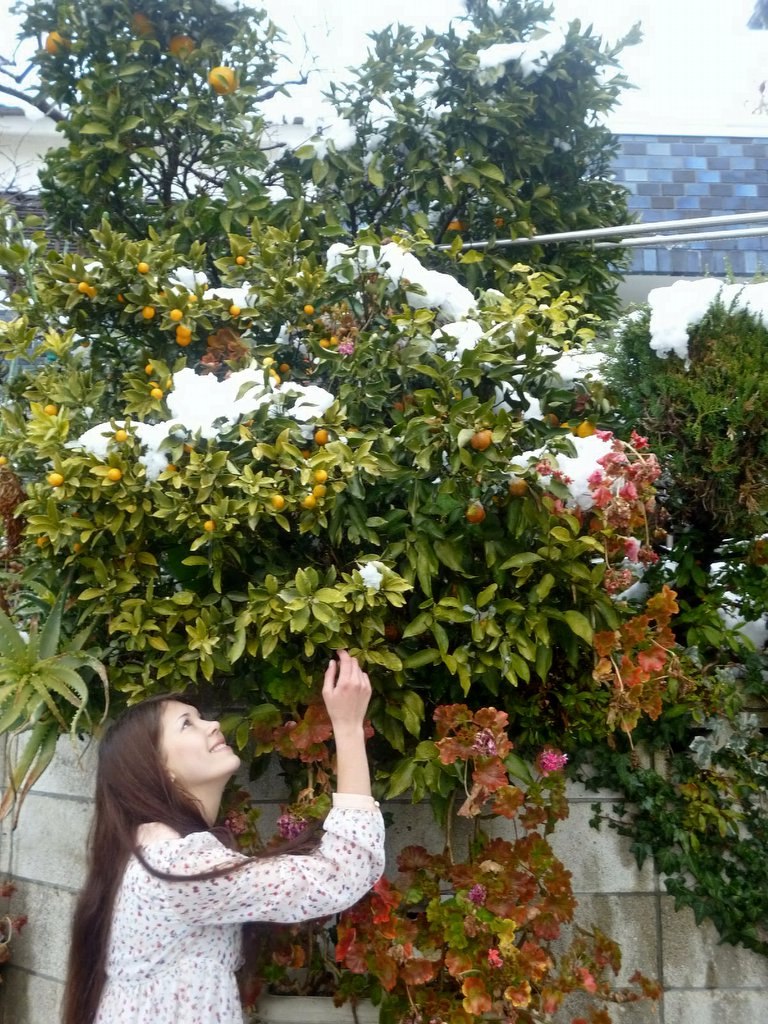 Вероника Столярова | Saitama