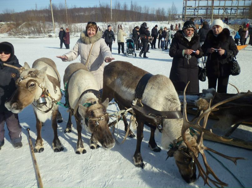 Ольга Шибаева | Мурманск