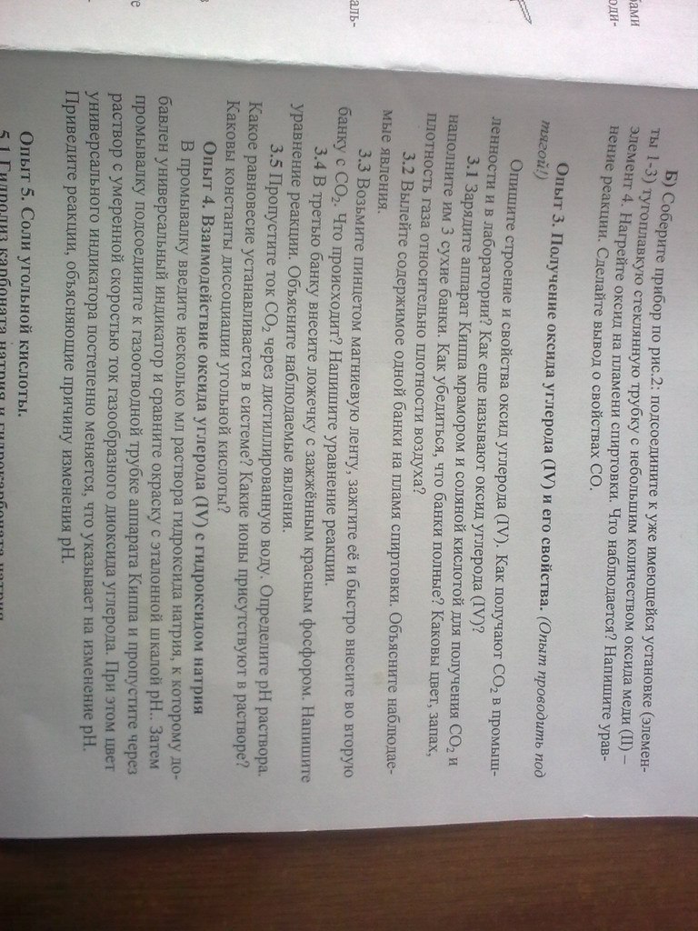 Мария Мишина | Ростов-на-Дону