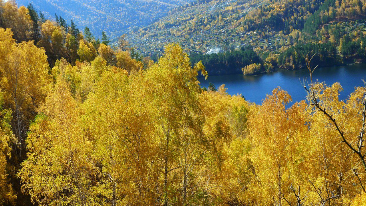 Виталий Беличенко | Саяногорск