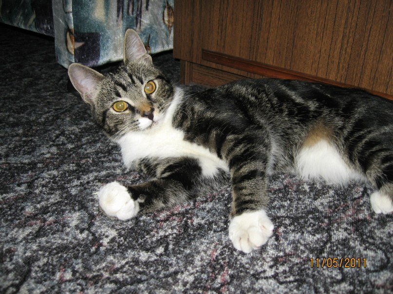 Наталья Самойлова | Мурманск