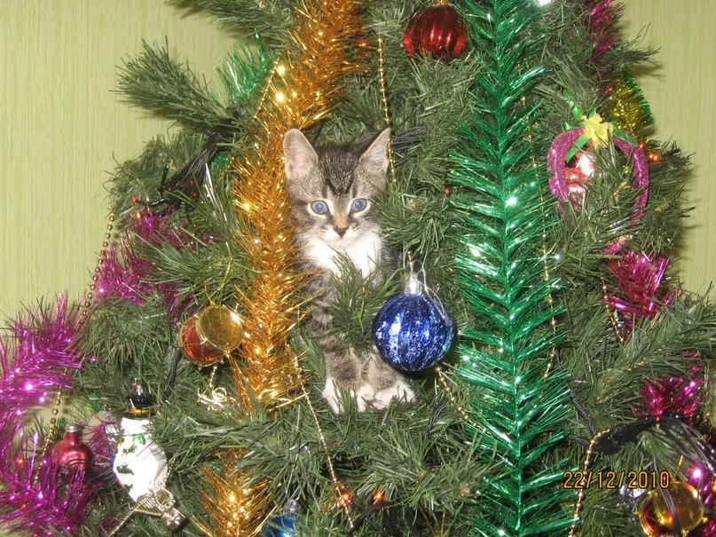 Наталья Самойлова | Мурманск