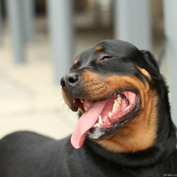 Евгений Викторов | Новосибирск