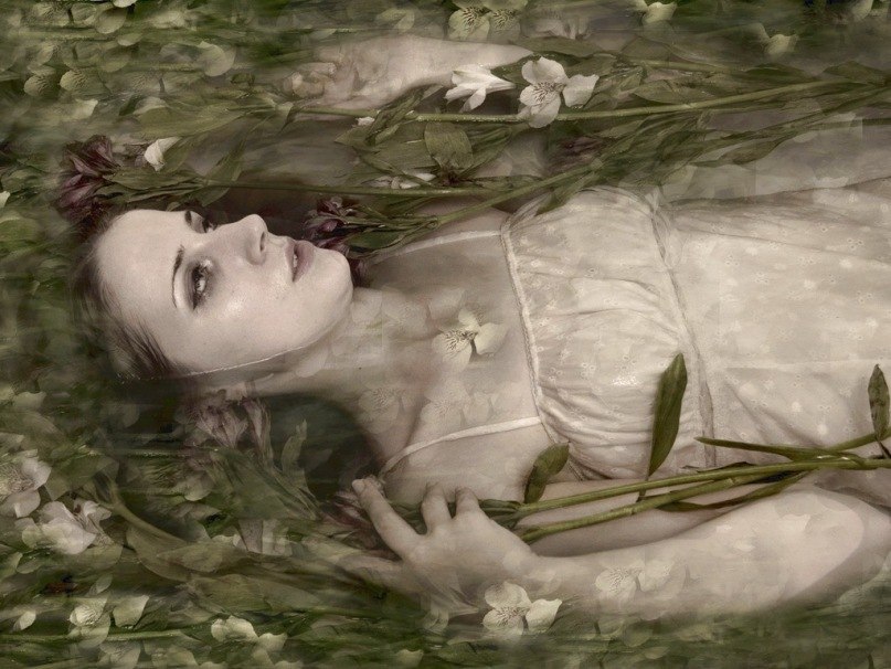 Евгения Рево Владимировна | Брянск