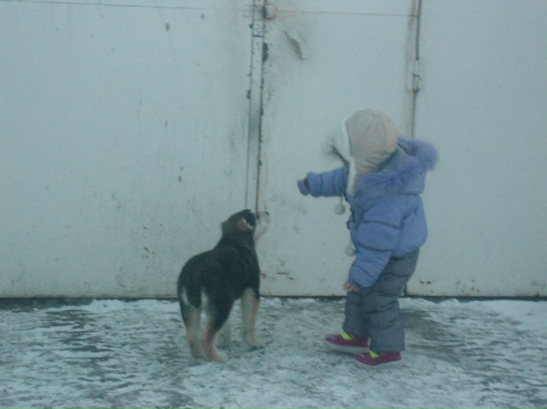 Arshak Manukyan | Тюмень