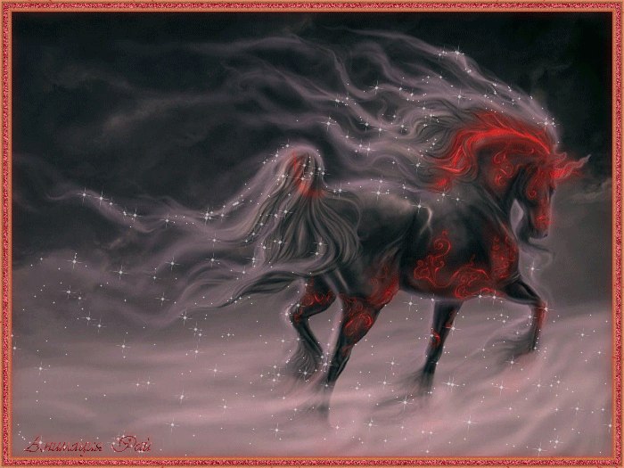 Александр Звычайный | Иркутск