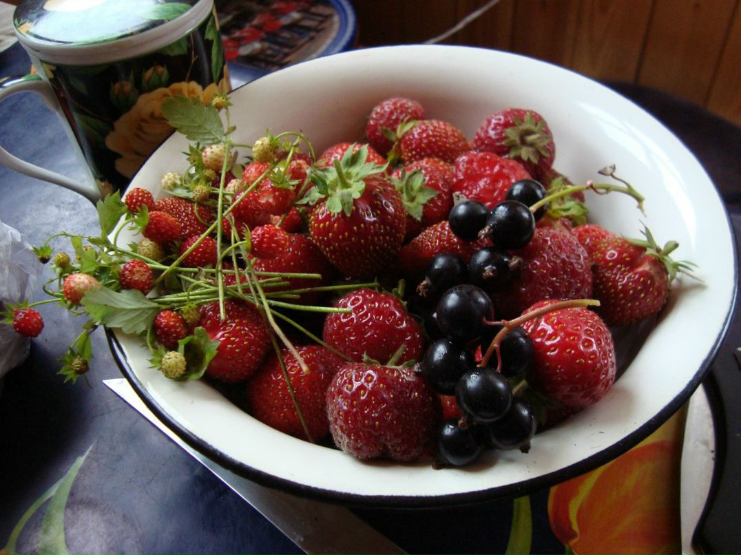 Димасик Педулло | Москва