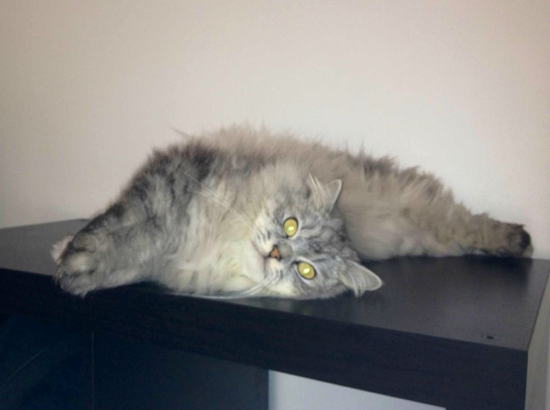 Екатерина Седельникова French Girl | Тверь