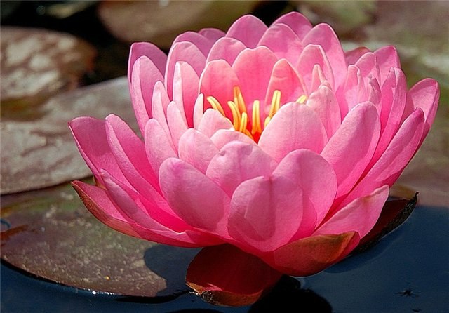 Миля Муррр ^-^ | Казань