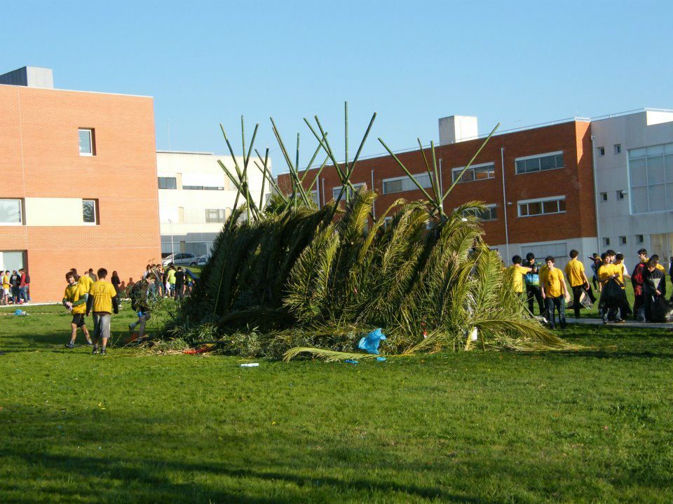 Олег Мошура | 