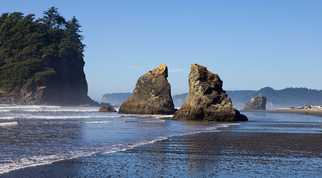 Андрей Андреев | Москва