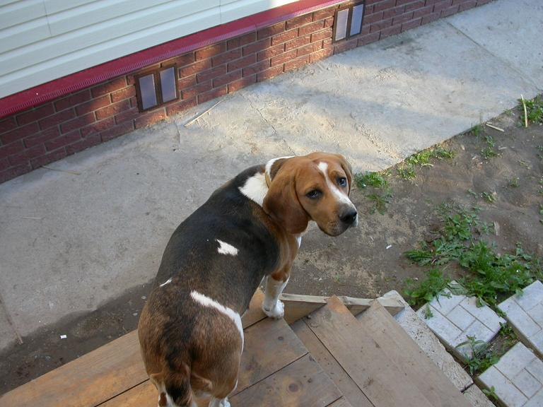 Валерий Валерьевич | Москва