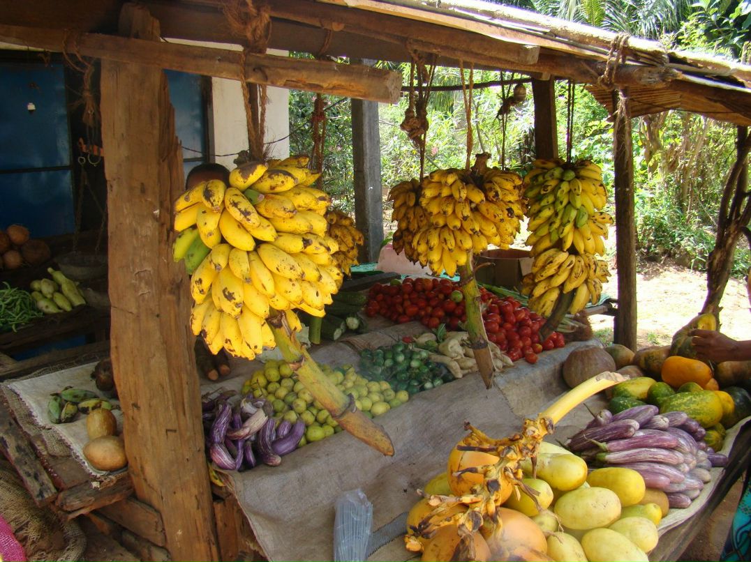 Олег Ройко | Харьков