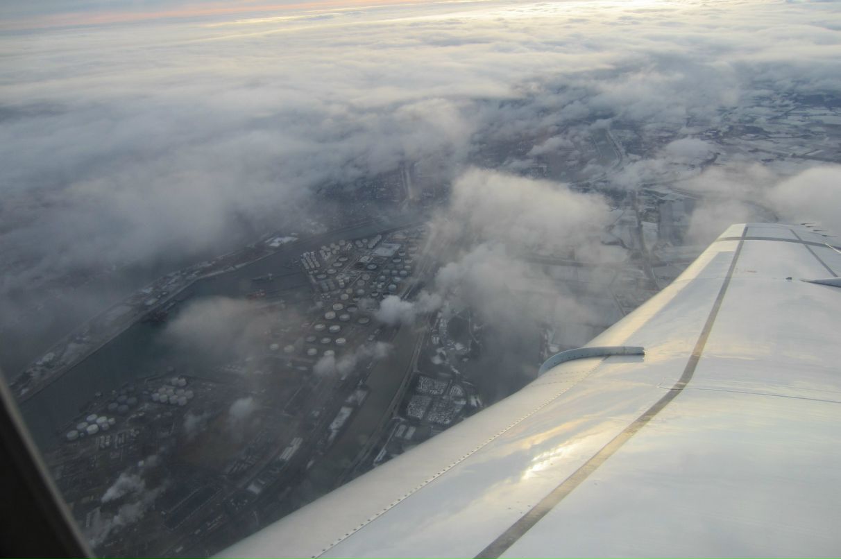 Екатерина Кошарная | Санкт-Петербург