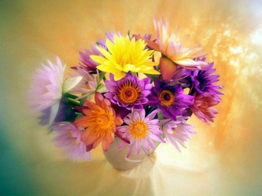 Константин Ардашев | 