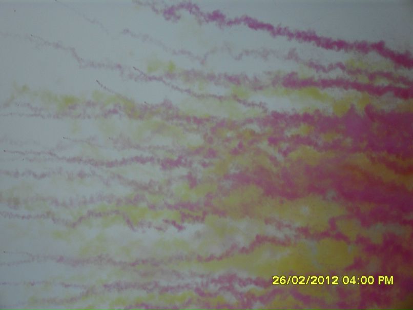 Анастасия Бойцова | Тверь