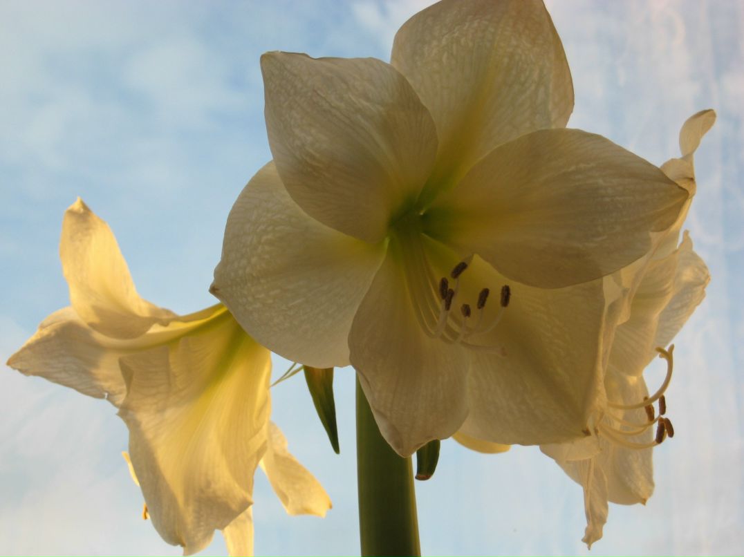 Наталья Давыдова | Петрозаводск