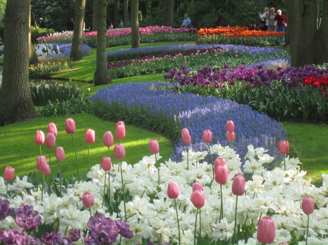 Юлия Рогачёва | Воронеж