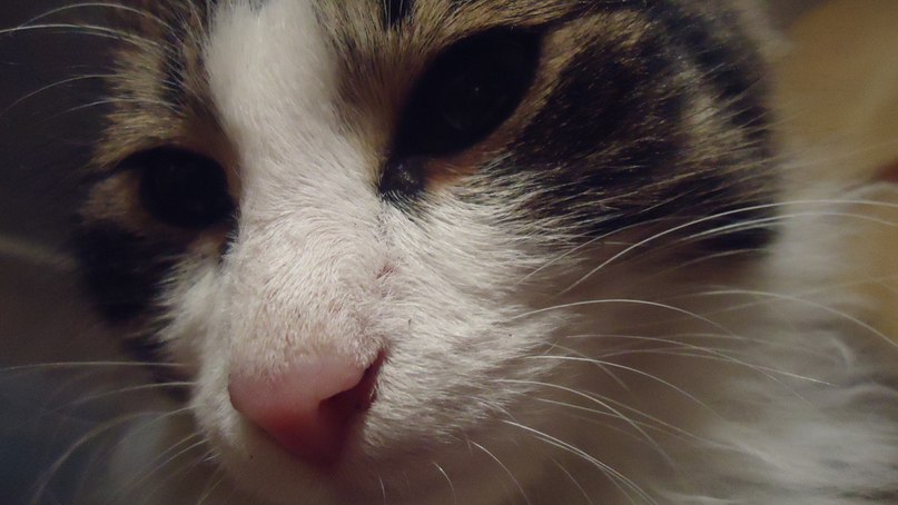 Настя Блинова | Иркутск