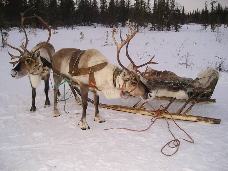Илья Кочуров Сергеевич | Ноябрьск
