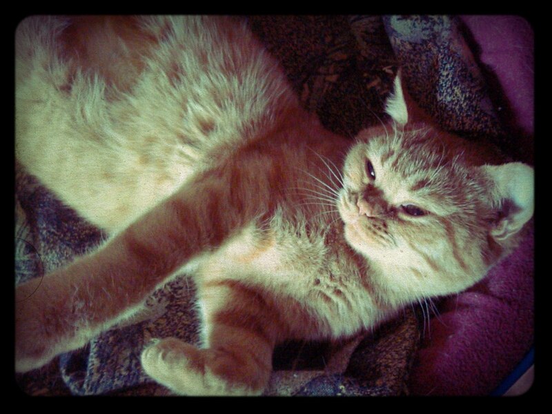 Настя Ненастина Blupy | Москва