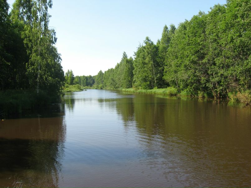Елена Коваленко | Санкт-Петербург