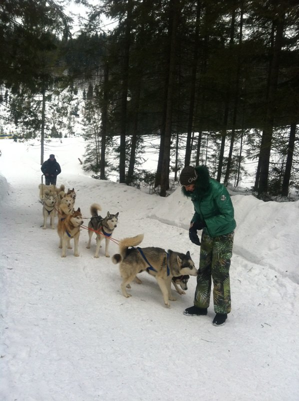 Ольга Шевченко | Херсон