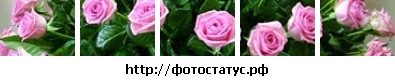 №41, Анастасия Белая, Херсон №41, Анастасия Белая, Херсон
