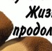 Данил Крут фотография #30