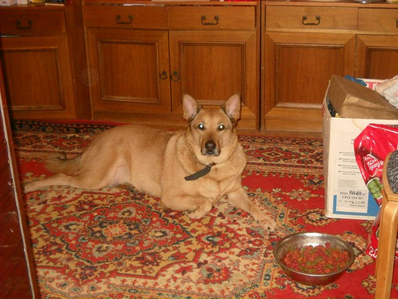 №50, Максими Дудник, Москва №50, Максими Дудник, Москва